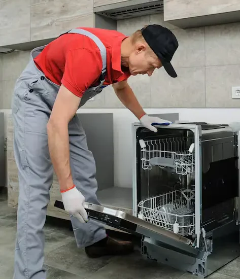 Dishwasher-Repair-Maintenance.webp